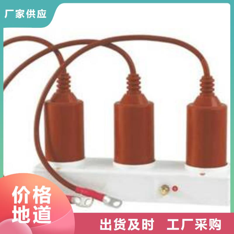 保护器(组合式避雷器)TBP-W-C/10-T组合过电压保护器