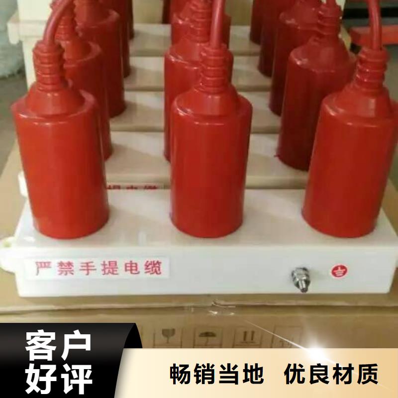 保护器(组合式避雷器)TBP-W-C/10-T组合过电压保护器