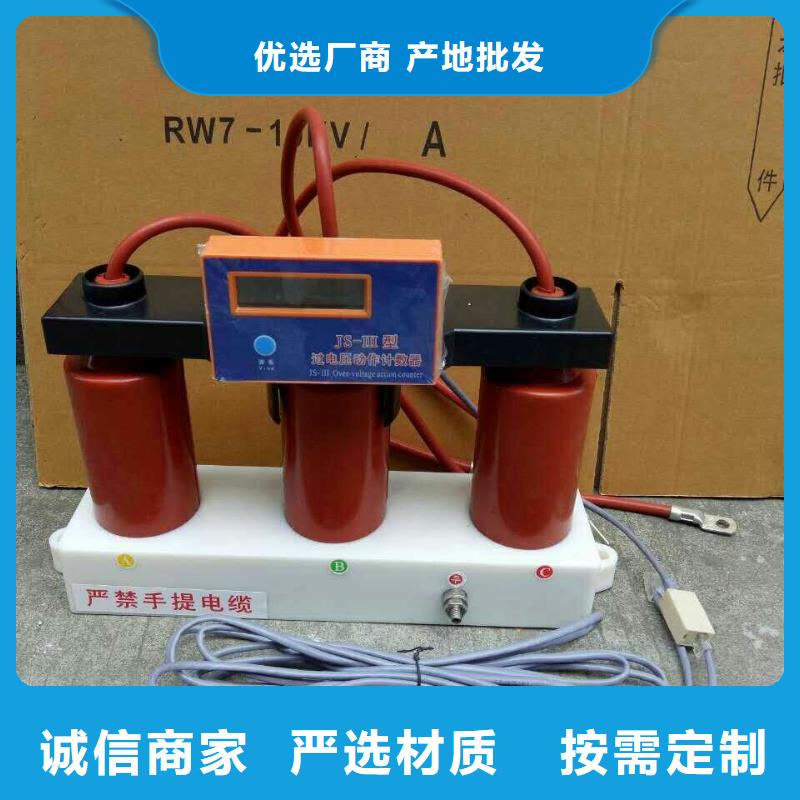 RY-GDY2-C/10组合过电压保护器