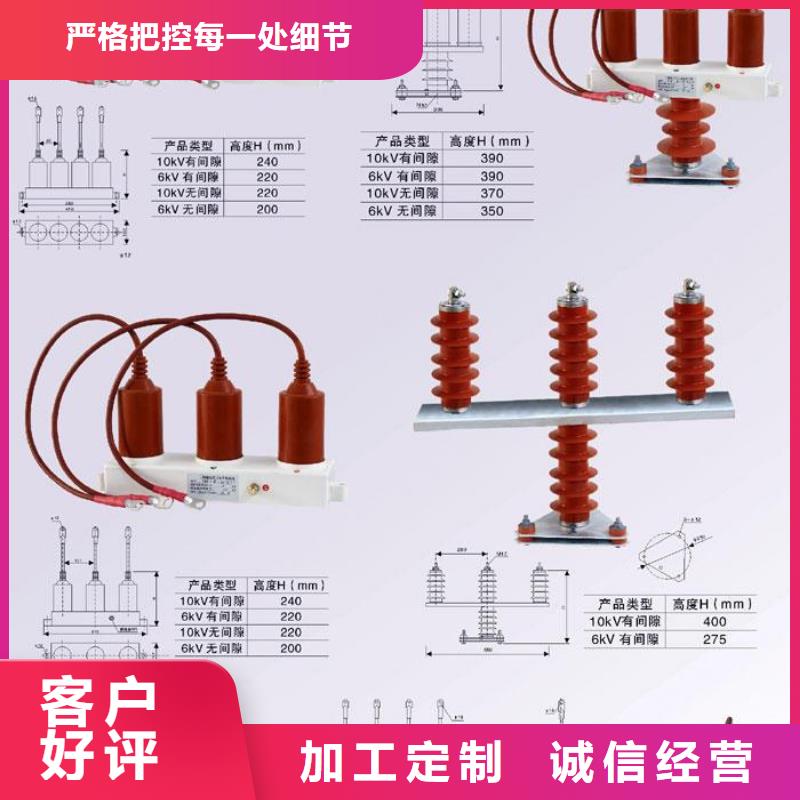 过电压保护器(组合式避雷器)TBP-A-6.3/131-J