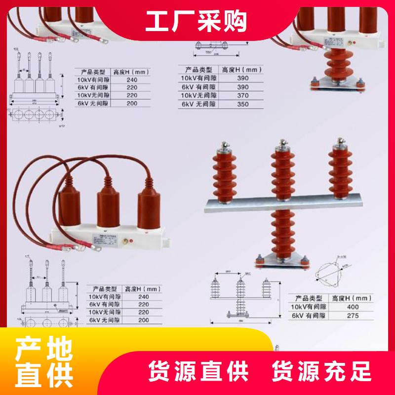 【羿振电力牌】过电压保护器TBP-C-42F/310