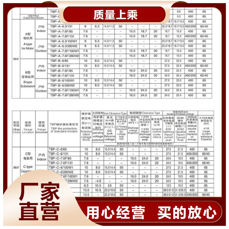 【组合式避雷器】TBP-B-7.6/131-J