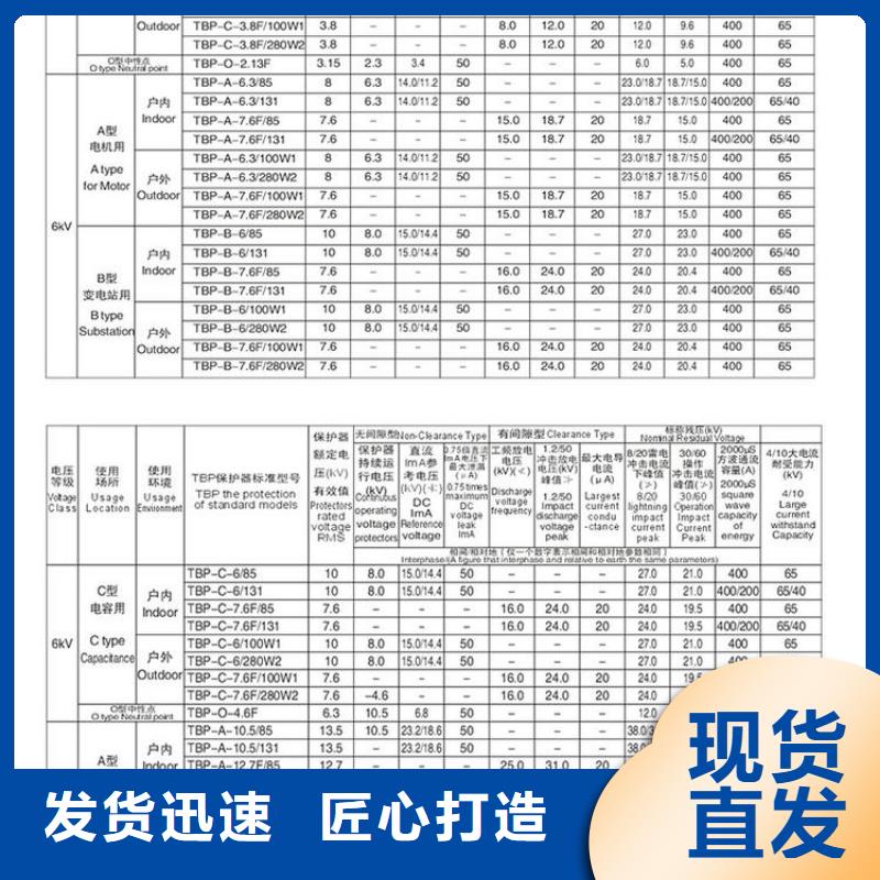 〖过电压保护器〗TBP-C-6.3/85质量放心