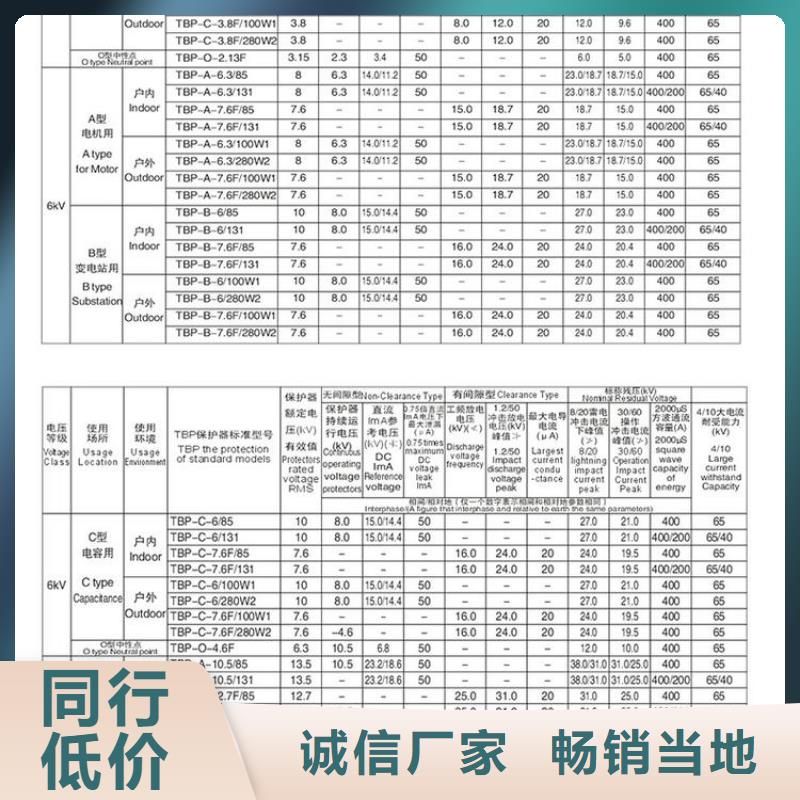 【组合式避雷器】TBP-B-42F/310