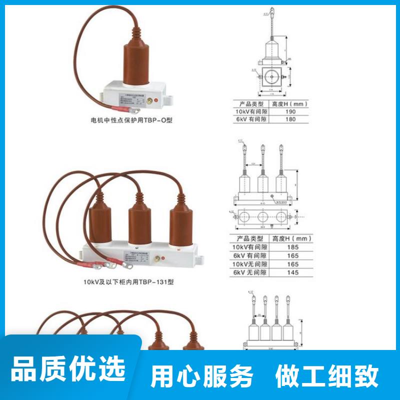 【羿振电力牌】过电压保护器TBP-B-12.7F/85-J