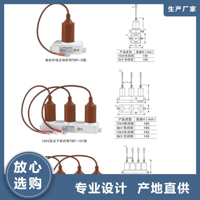 保护器(组合式避雷器)TBP-C-12.7/150