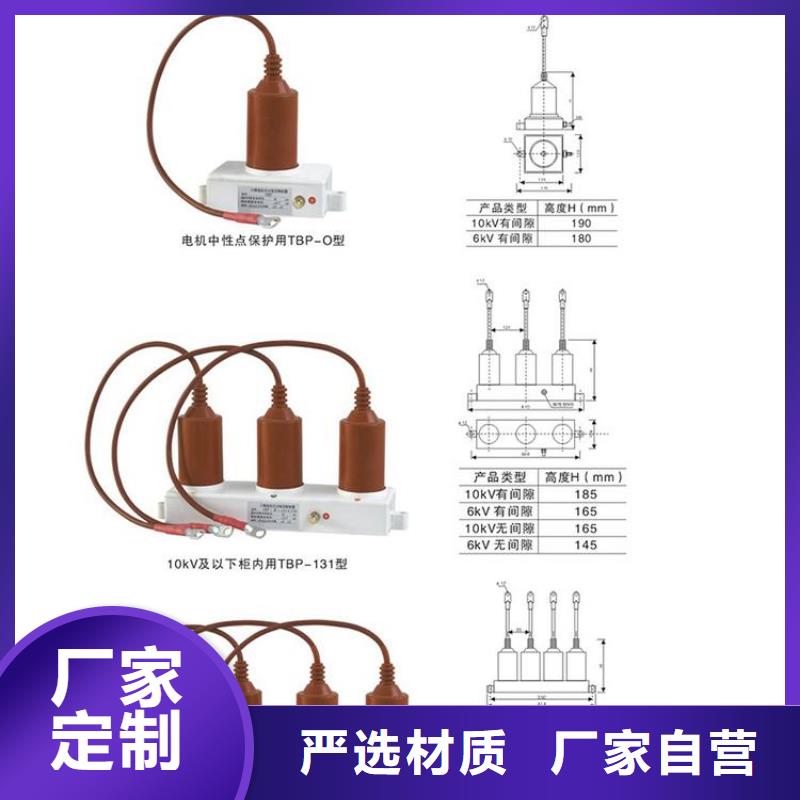 〖过电压保护器〗BSTG-A-6制造厂家