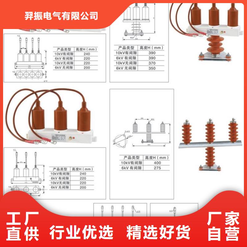 【组合式避雷器TBP-C-42F/280-IM】-买<羿振>