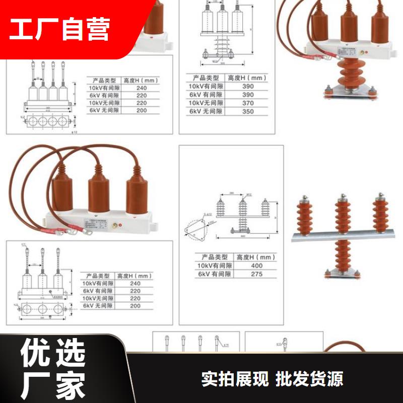 【多年行业经验{羿振}】过电压保护器(组合式避雷器)TBP-A-7.6F/120