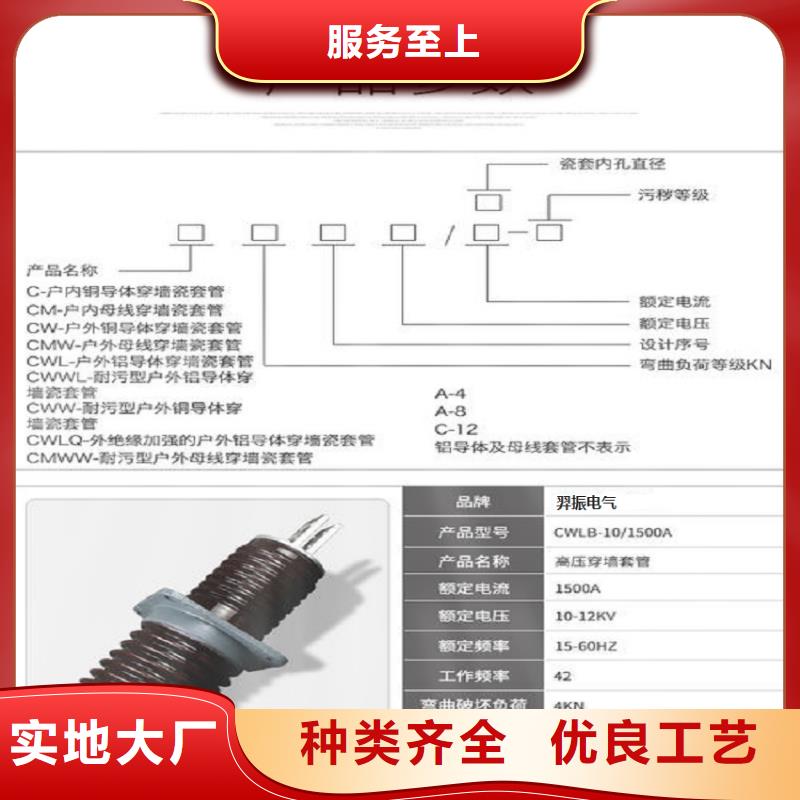 穿墙套管/CWL-10KV/4000浙江羿振电气有限公司