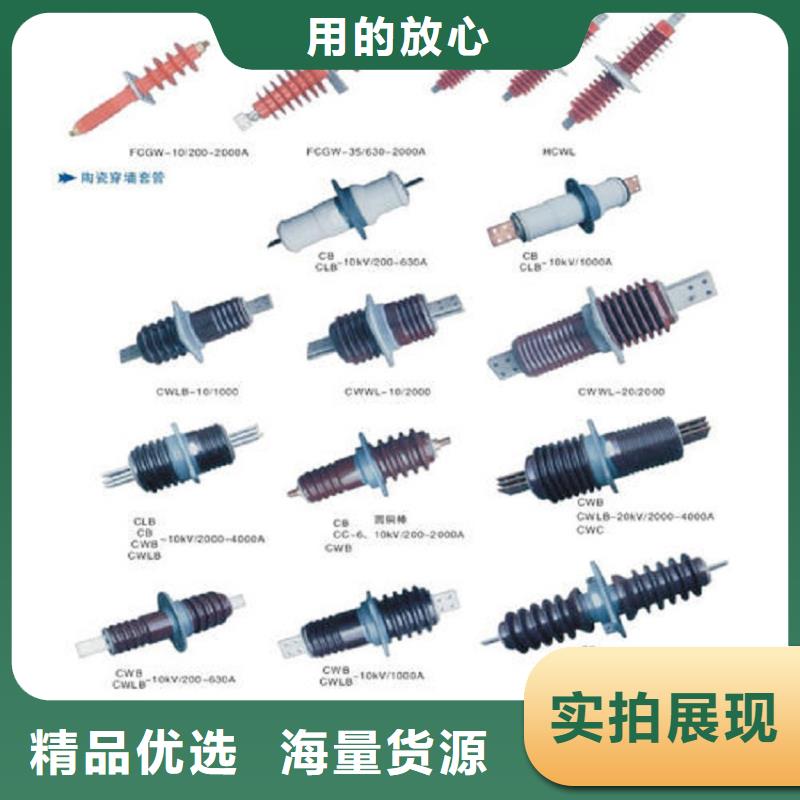 【穿墙套管】CWWL-10/2500