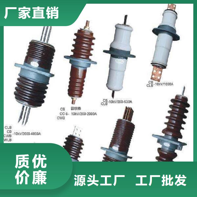 穿墙套管/CWL-10KV/4000浙江羿振电气有限公司