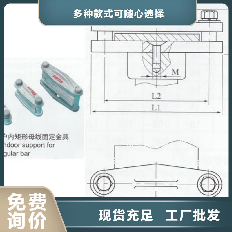 母线固定金具MNP-308参数-母线夹具MNL-308生产厂家