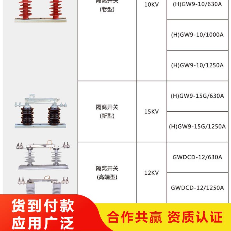 高压隔离开关：HGW9-10KV/1000值得信赖.