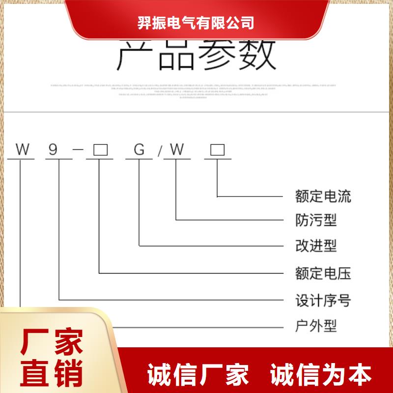 【隔离开关/隔离刀闸】HGW9-10G(W)/200A