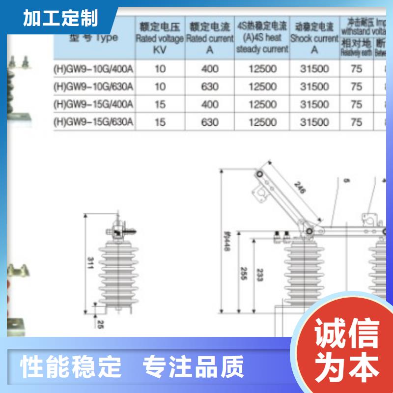 单极隔离开关GW9-12KV/630A单柱立开,不接地,操作型式:手动