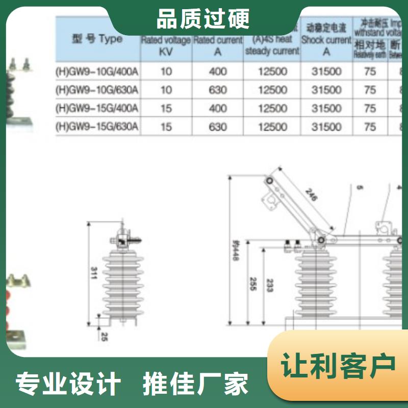 【隔离开关】HGW9-10G/200