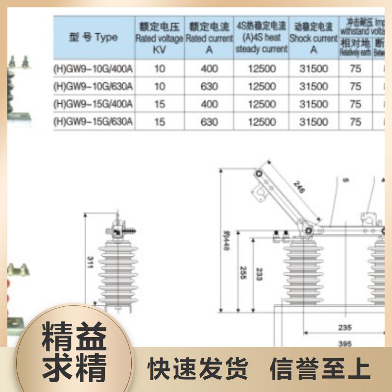 【隔离刀闸】HGW9-10G/630A