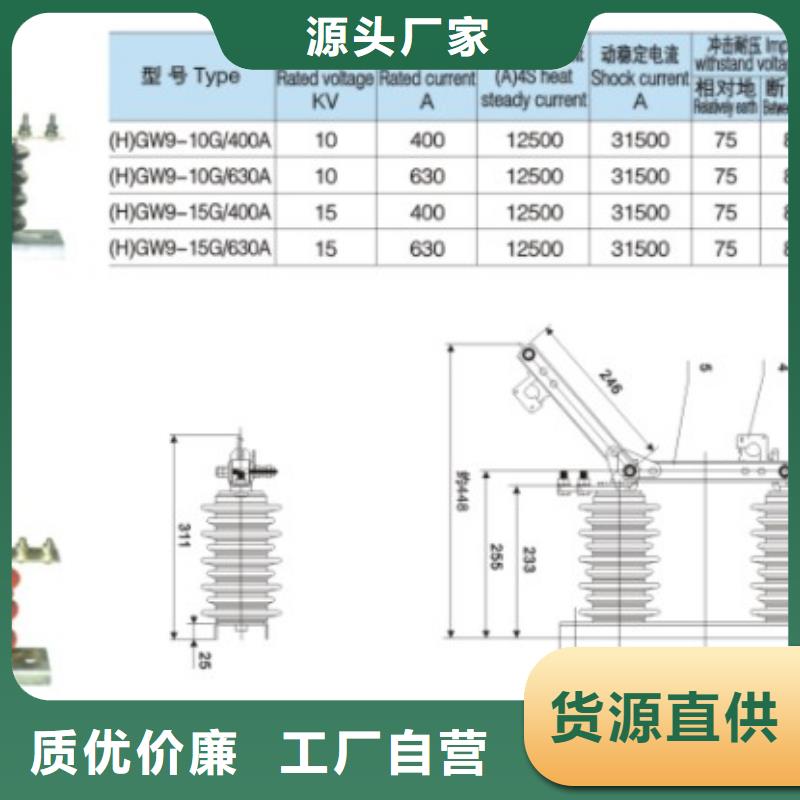 品牌【羿振电气】HGW9-12G(W)/630隔离刀闸生产厂家