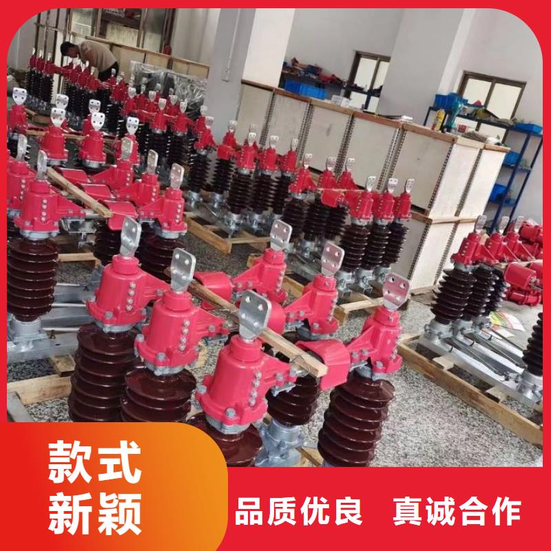 户外高压隔离开关HGW1-10KV/630