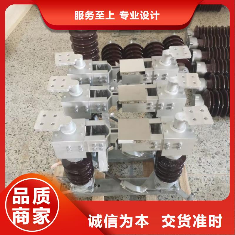 户外高压隔离开关HGW1-10KV/400A