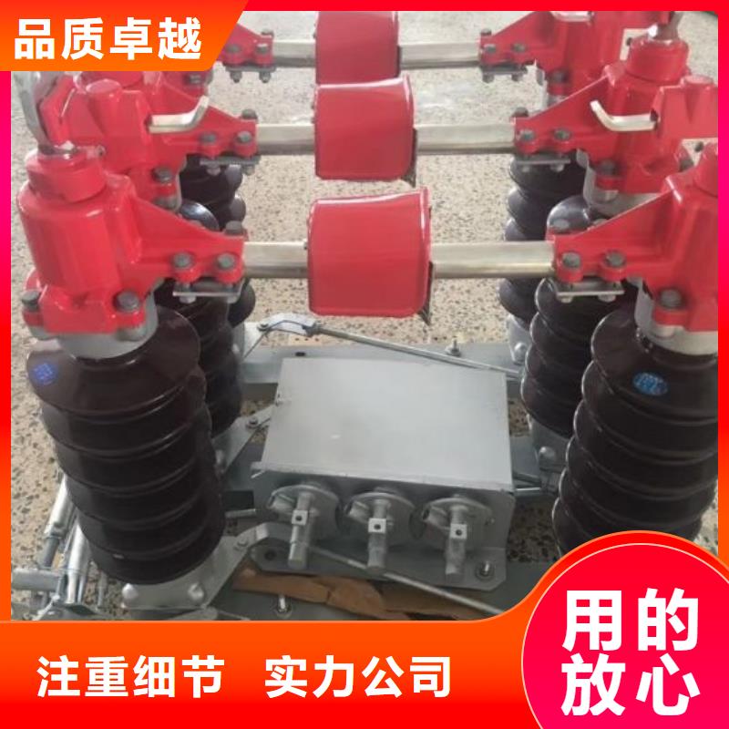 户外高压隔离开关HGW1-12KV/400