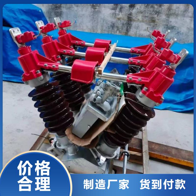 户外高压隔离开关HGW1-12KV/630A