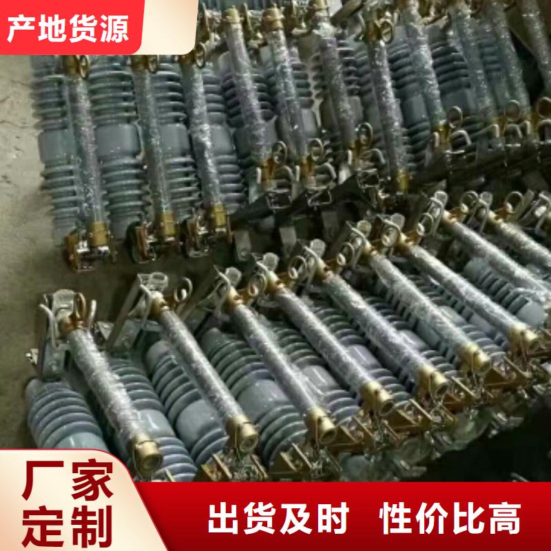【熔断器】跌落式熔断器HRW12-10/100A【上海羿振电力设备有限公司】