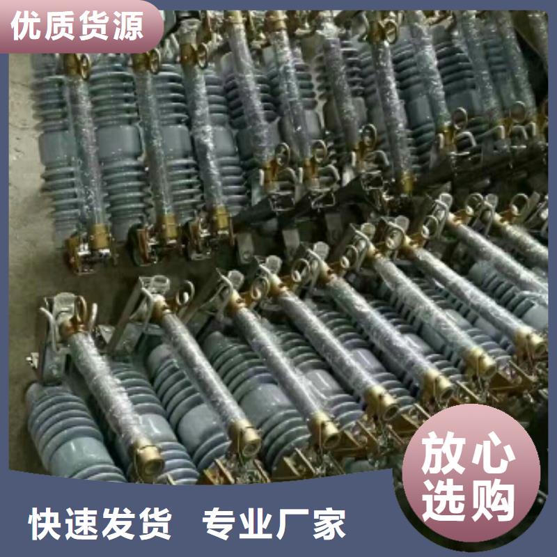 高压熔断器/RW7-12/100A【浙江羿振电气有限公司】