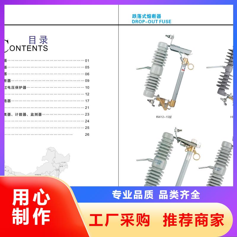 双电源真空断路器视频-双电源真空断路器|庆阳市|宁县|环县|兰州|嘉峪关|甘南|白银