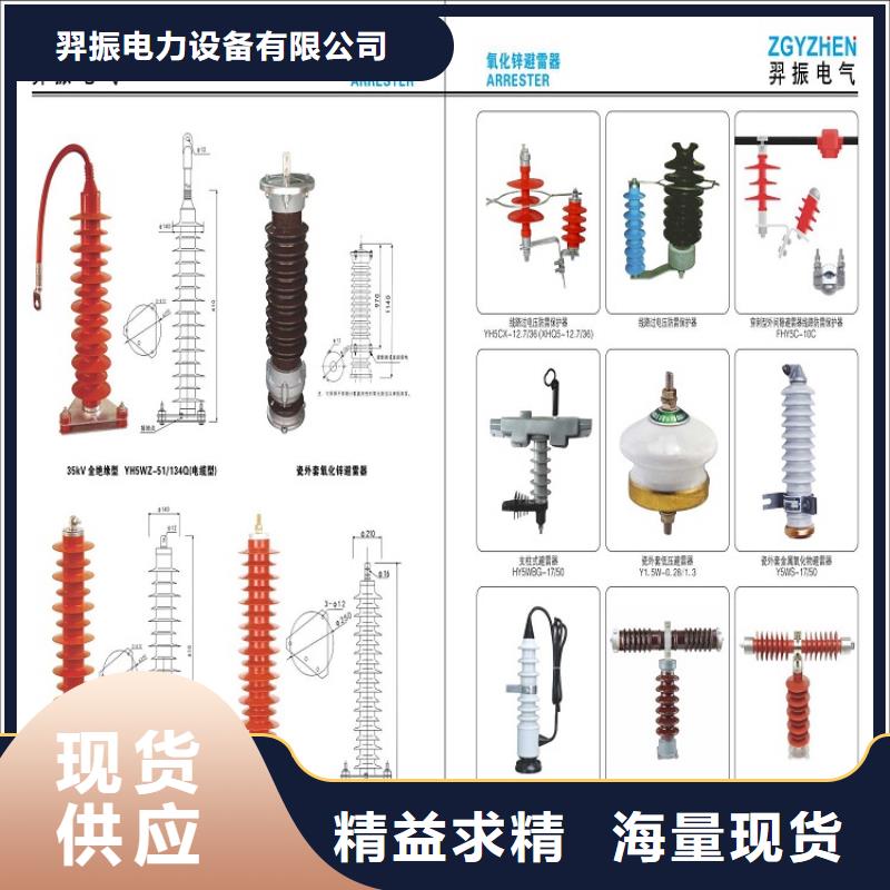 避雷器Y10W1-108/281浙江羿振电气有限公司