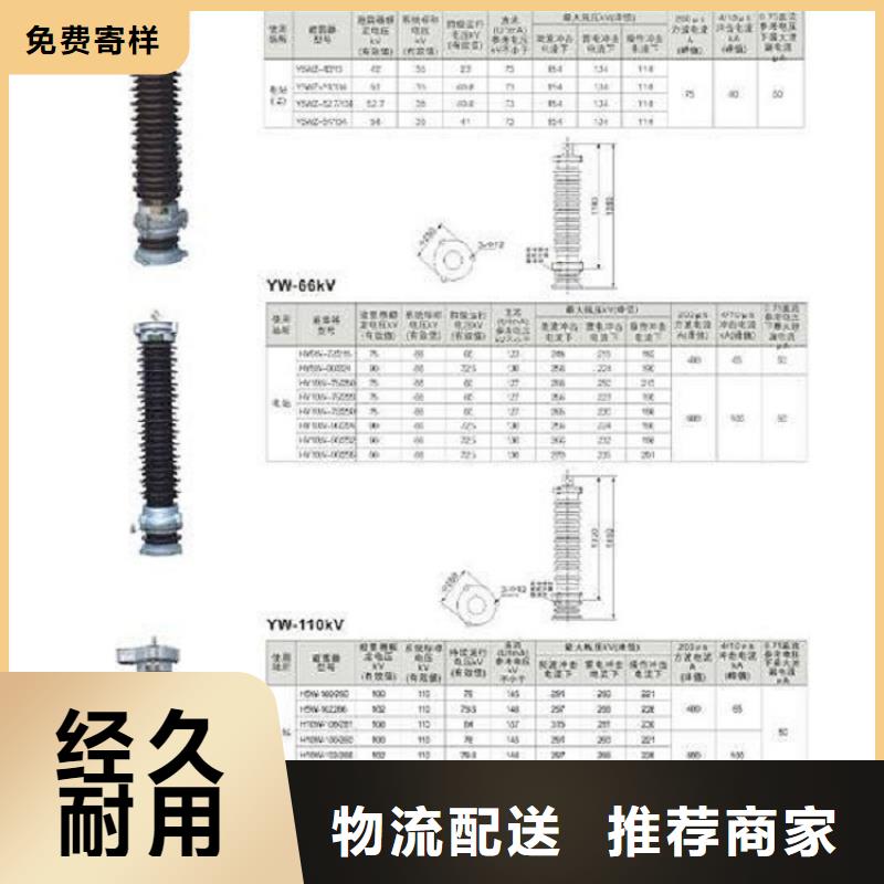 跌落式避雷器HY5WS-17/50DL