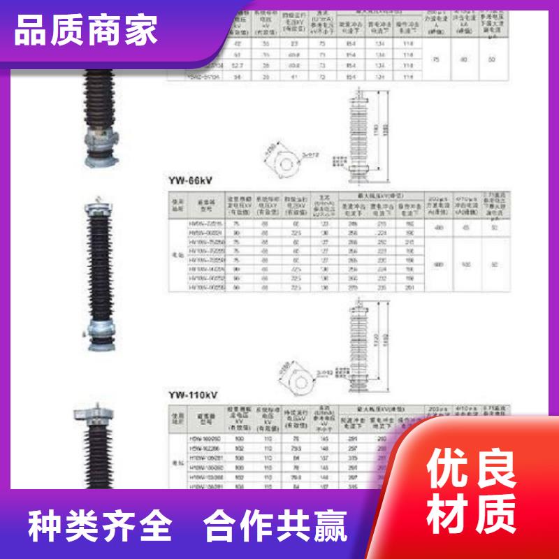 避雷器Y10W-192/500