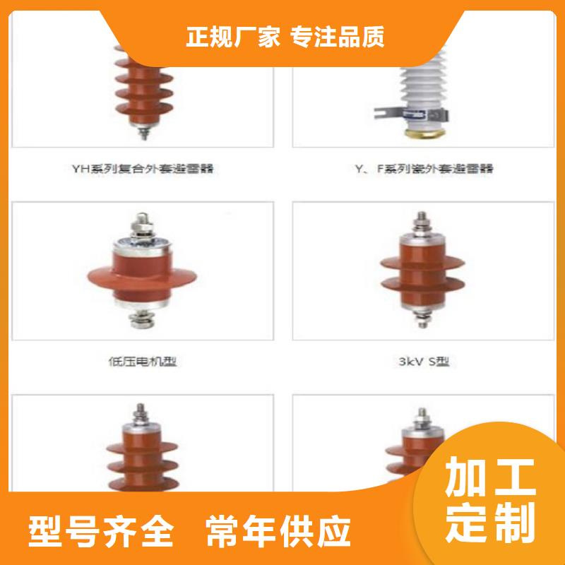 _避雷器Y5W1-228/593【羿振电力设备】