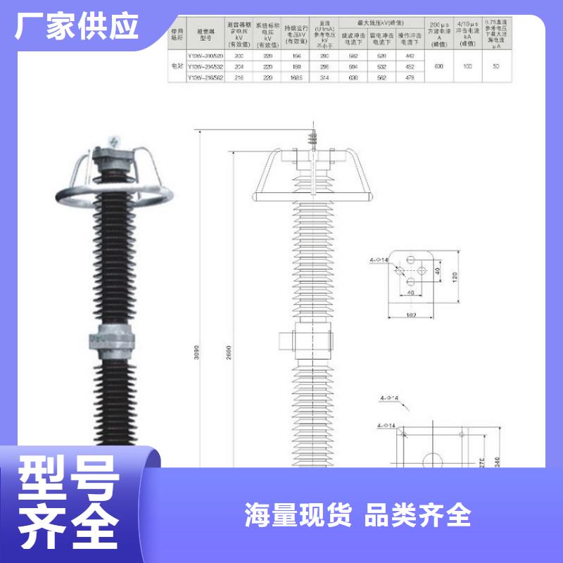 _避雷器Y10W1-96/328GW【羿振电力设备】