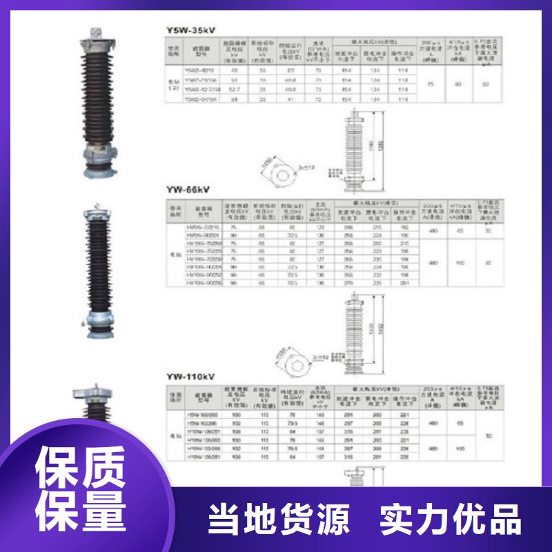 避雷器Y2.5WZ-16.7/40【羿振电气】