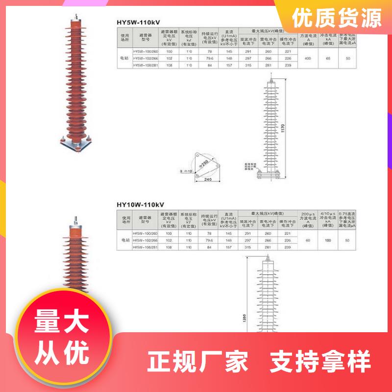 避雷器YH10W5-116/302GY