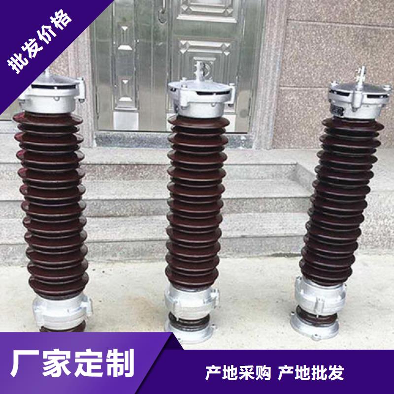 品牌：【羿振电力】氧化锌避雷器Y10W-102/266