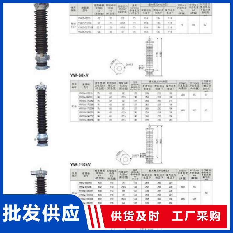 氧化锌避雷器Y10W5-216/562W畅销全国