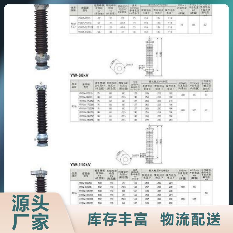 避雷器HY10WZ2-96/250S【羿振电力设备】