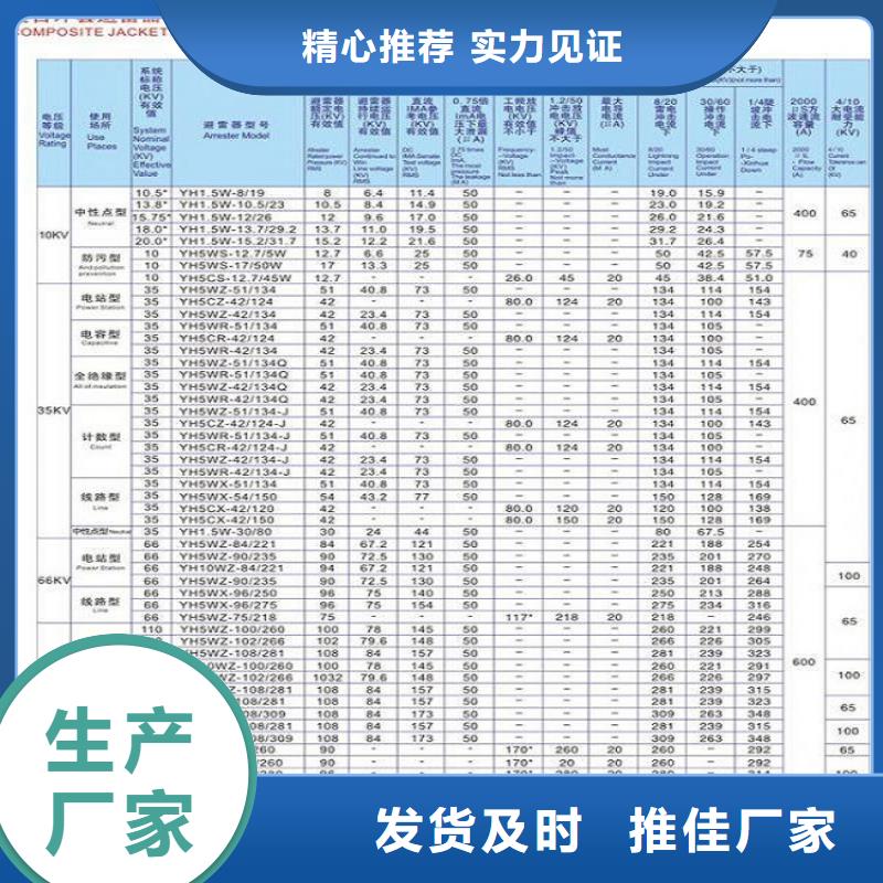 避雷器Y10W1-200/520【羿振电力设备】