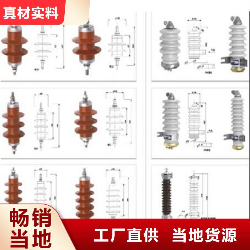 避雷器Y10W5-192/500浙江羿振电气有限公司