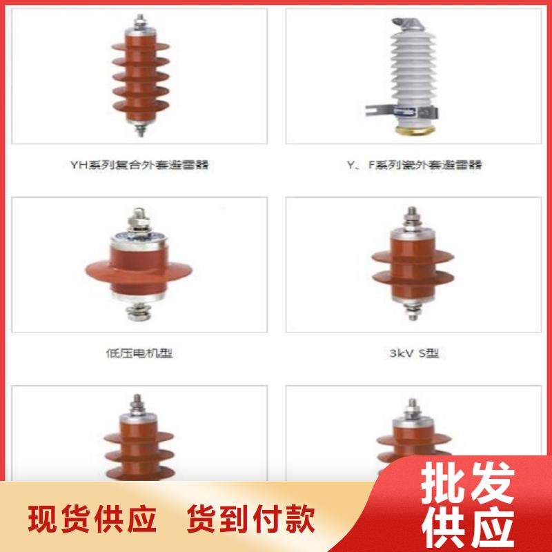 避雷器Y10W5-96/250【羿振电力】