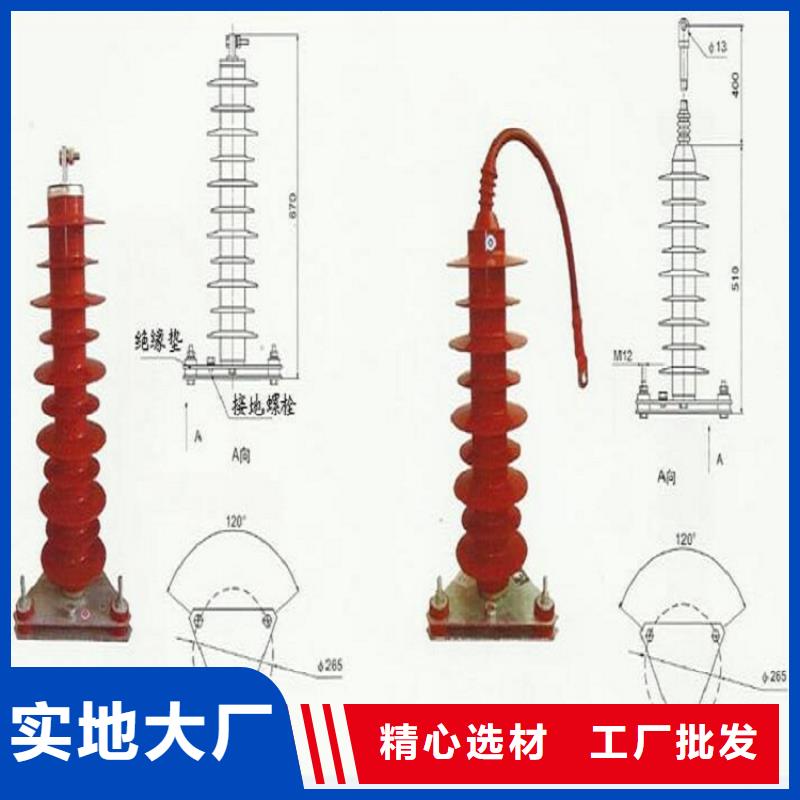 _避雷器Y10W1-96/328GW【羿振电力设备】