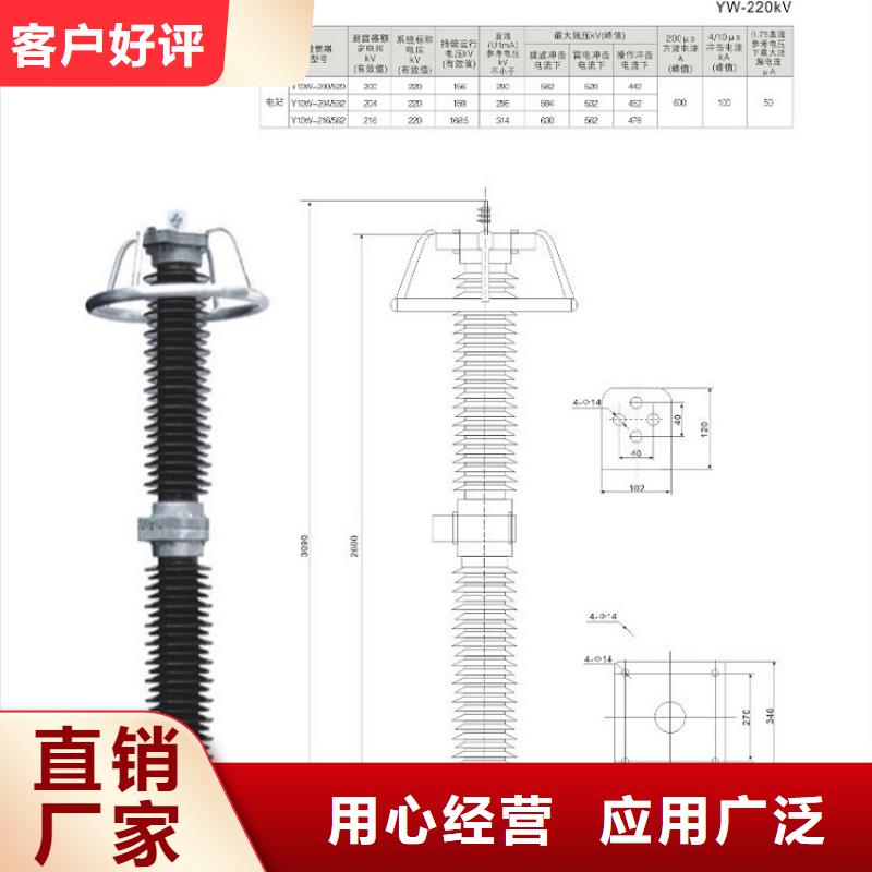 避雷器Y10W1-108/281浙江羿振电气有限公司