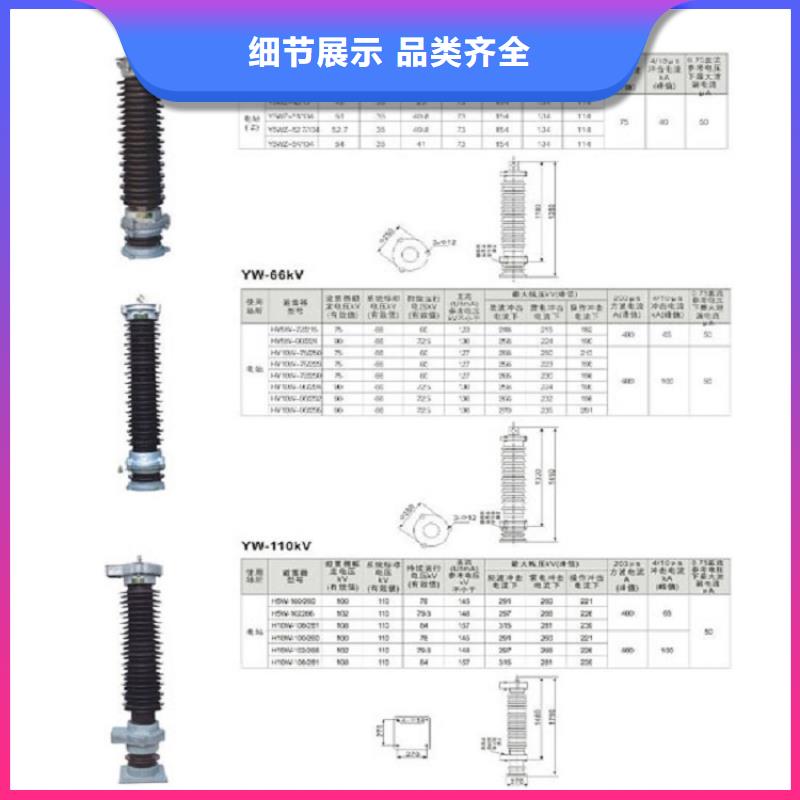 避雷器Y20W-600/1380W【羿振电气有限公司】