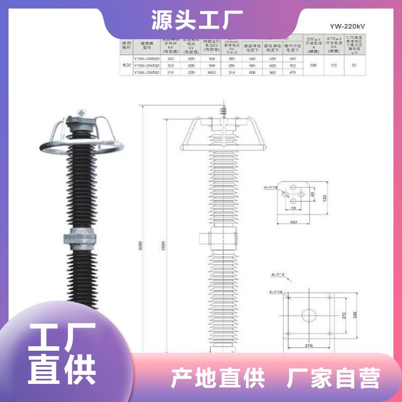 _避雷器YH5WZ-51/134G【羿振电力设备】