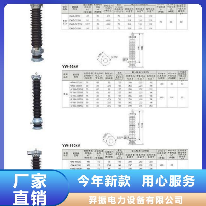 避雷器Y10W-204/532