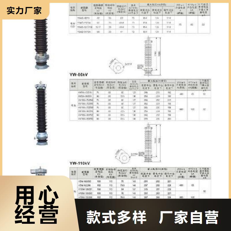 _避雷器Y5W1-228/593【羿振电力设备】