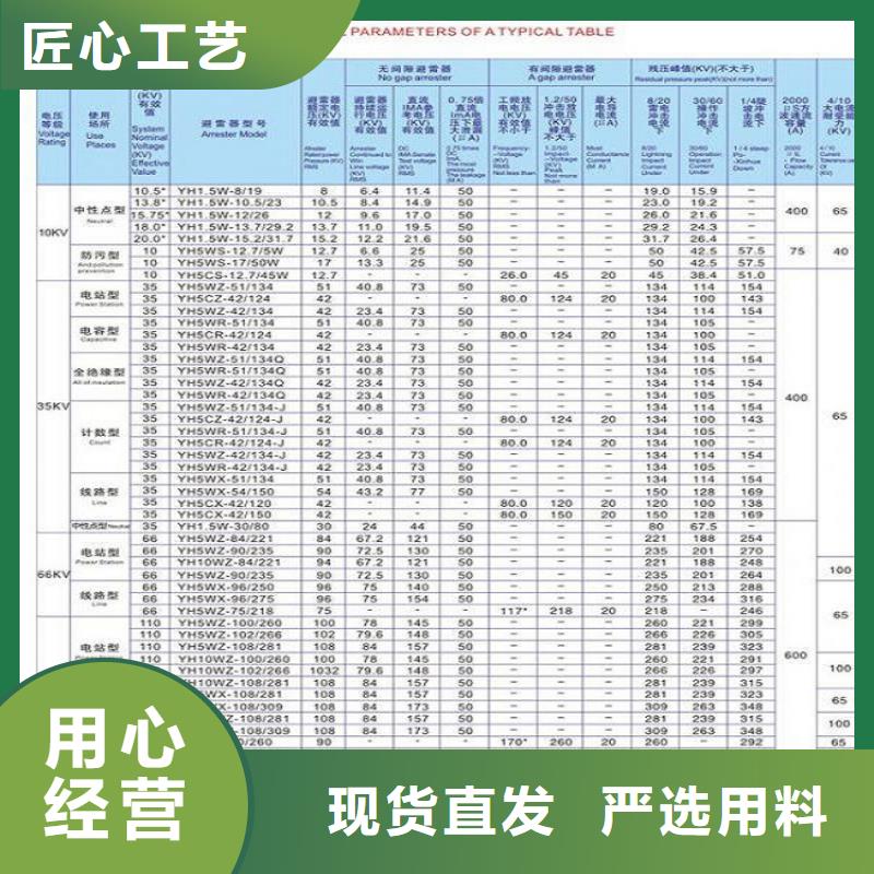 避雷器Y10W-108/281